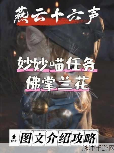 燕云十六声喵老大难当任务全攻略指南