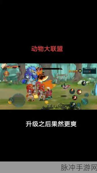 怪物联萌信物攻略，助你称霸游戏世界