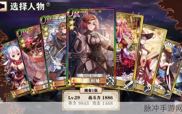 螺旋境界线实用阵容深度剖析与搭配指南