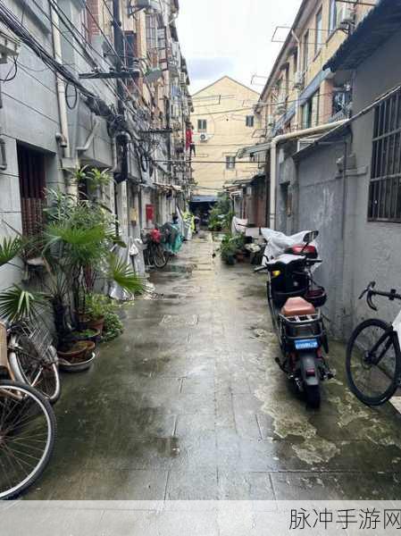 探秘小巷子里的秘密事情 全线路完美通关秘籍