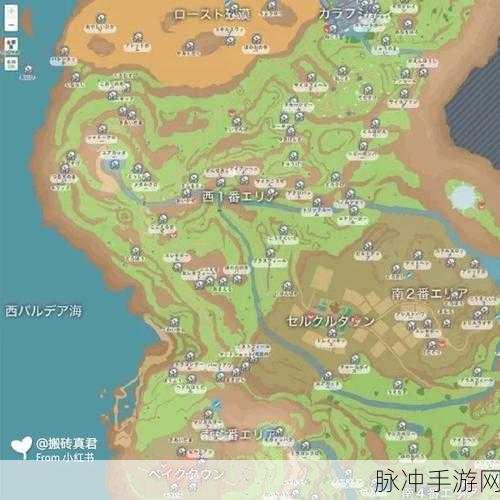 宝可梦大集结地图要点全解析