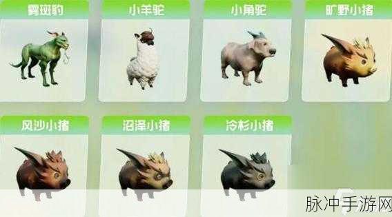 创造吧我们的星球，探索草原材料的高效获取之道