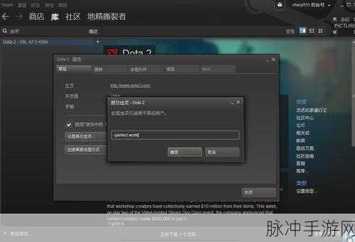 DOTA2 国服启动项代码全解析，畅玩无忧