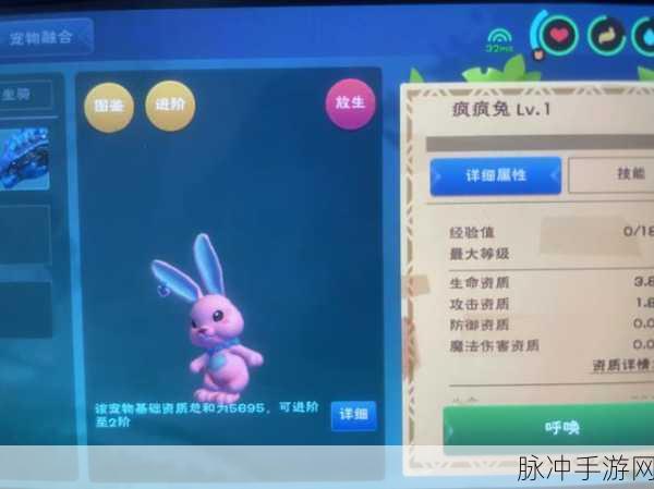 创造与魔法，兰兰兔合成攻略大揭秘
