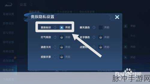 王者荣耀，贵族标志隐藏秘籍大揭秘