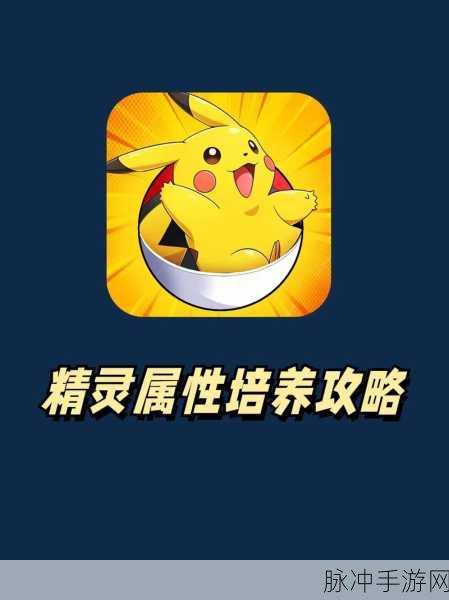 口袋超萌，精灵技能升级与精灵升级的全方位指南