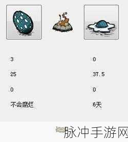 饥荒手游，鸟蛋的烹饪魔法之旅