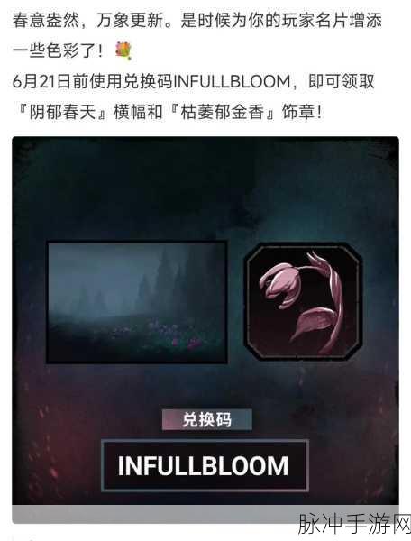 2024 黎明杀机兑换码永久有效秘籍大公开