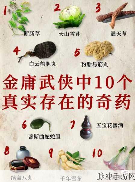 武侠乂药品藏匿之处大揭秘