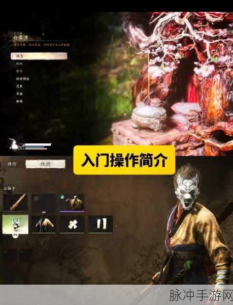 黑神话悟空中争先红葫芦的强大用途全解析