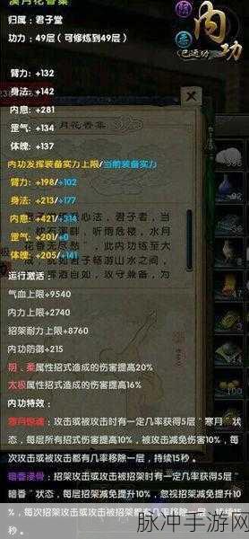 九阴真经手游，内功修炼秘籍与新手进阶指南
