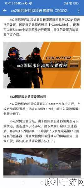 探索 CSGO 国服启动项代码的奥秘
