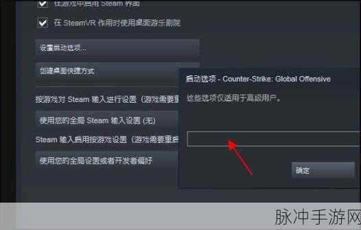探索 CSGO 国服启动项代码的奥秘