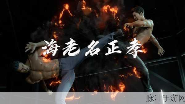 如龙 8 知名度飙升秘籍，全方位升级攻略