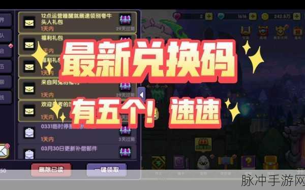 勇者之海，2024 超值礼包码与兑换码全揭秘