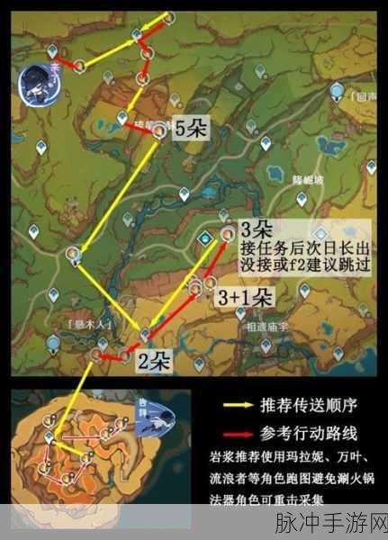 原神，悼灵花高效采集秘籍大公开