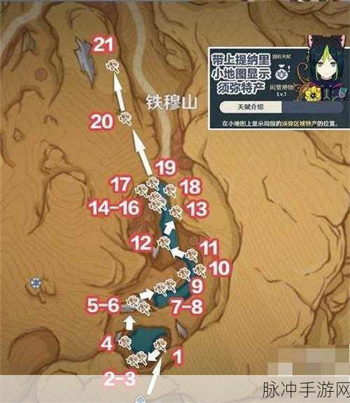 原神，悼灵花高效采集秘籍大公开