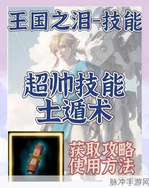 塞尔达传说王国之泪解锁飞天技能全攻略