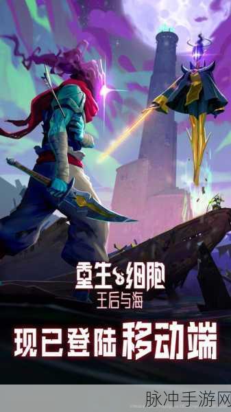 重生细胞王后与海的神秘通道全解析
