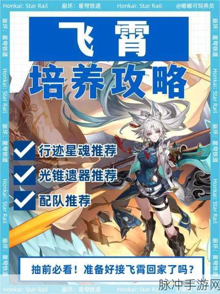 崩坏星穹铁道飞霄遗器的绝佳选择指南