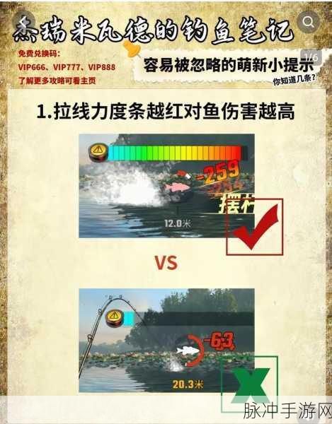欢乐钓鱼大师，钓获真彩虹的终极秘籍