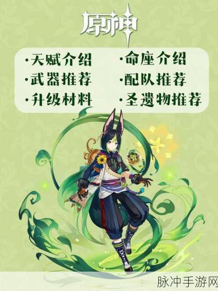 原神提纳里抽取价值全解析