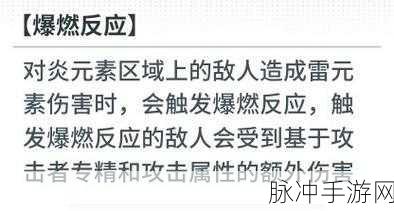 白荆回廊雷火队的深度剖析与配装指南