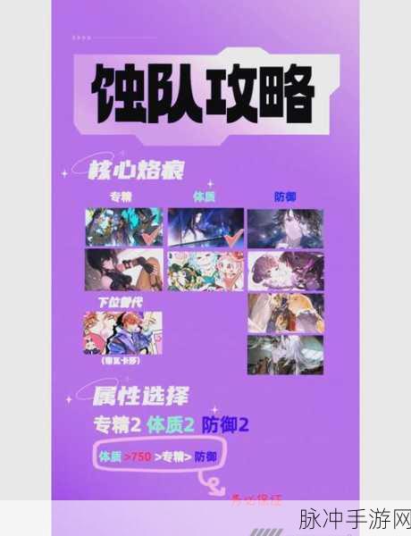 白荆回廊雷火队的深度剖析与配装指南