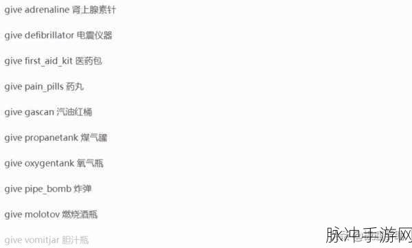 求生之路 2 手游秘籍代码大揭秘
