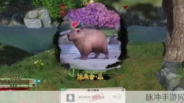 剑网 3缘来会铃宠物奇遇全攻略指南