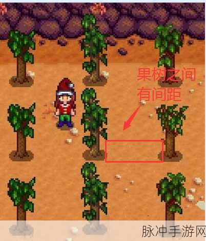 星露谷物语，果树种植全攻略