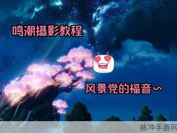鸣潮停影霄山第七关拍照绝佳位置全攻略