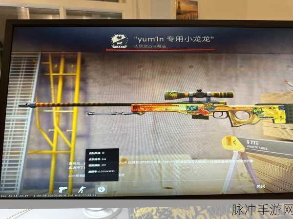CS2 手游龙狙箱子价格全解析