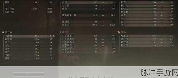 艾尔登法环武士加点秘籍，全面解析与最佳推荐