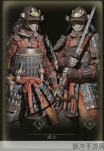 艾尔登法环武士加点秘籍，全面解析与最佳推荐