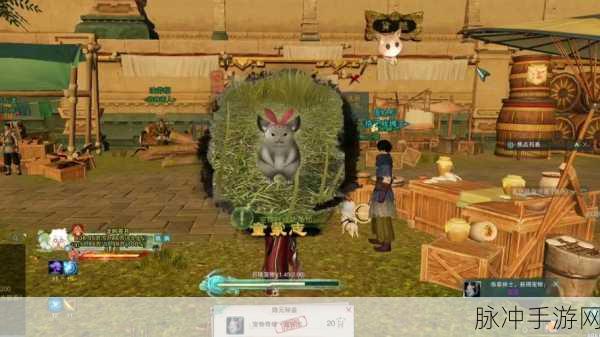 剑网 3石敢当宠物奇遇全攻略指南