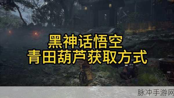 黑神话悟空手游，青田葫芦获取全攻略
