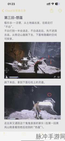 黑神话悟空灵蕴获取全攻略指南