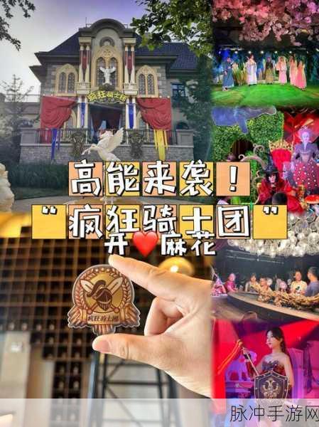 疯狂骑士团 2024 礼包码大揭秘及深度攻略