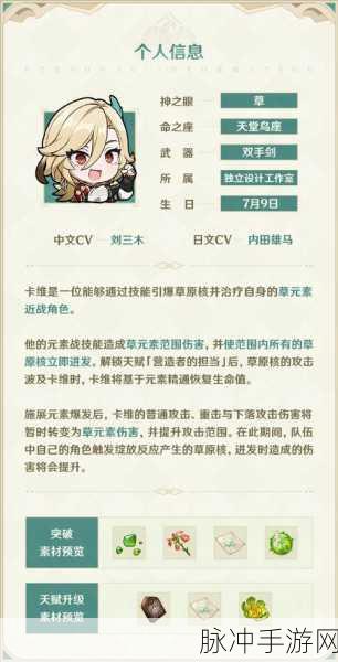 原神卡维，技能全解析与实战应用指南