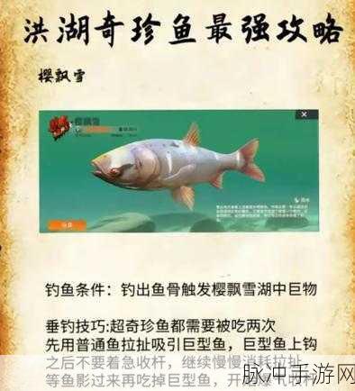 欢乐钓鱼大师，樱飘雪垂钓秘籍大公开