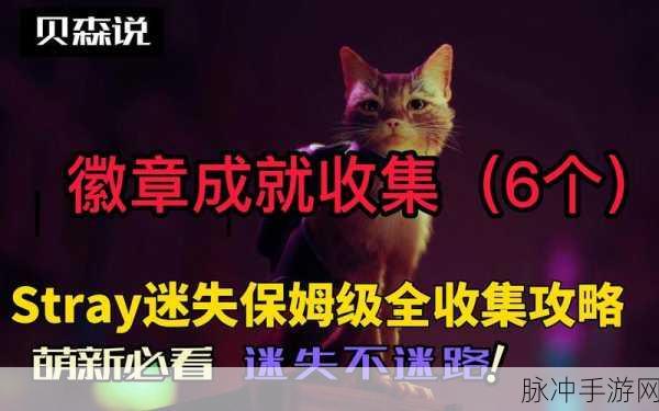 迷失 Stray 价格全解析 畅玩成本一览