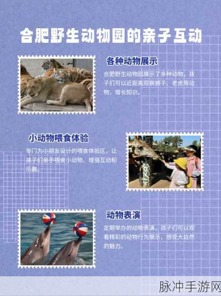 动物安排员第九关通关秘籍大揭秘