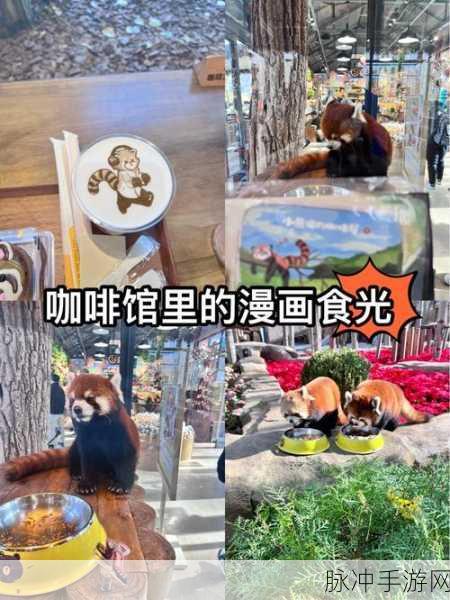 熊猫咖啡屋新手畅玩秘籍全知道