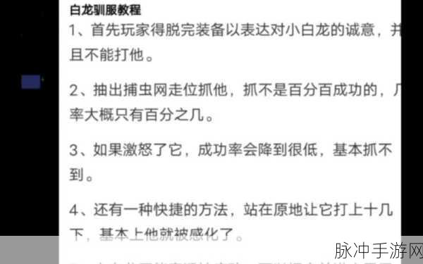 泰拉瑞亚手游，白龙驯服秘籍大公开