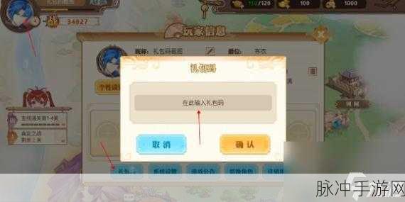 小小蚁国礼包激活码与兑换码全攻略（2024 版）