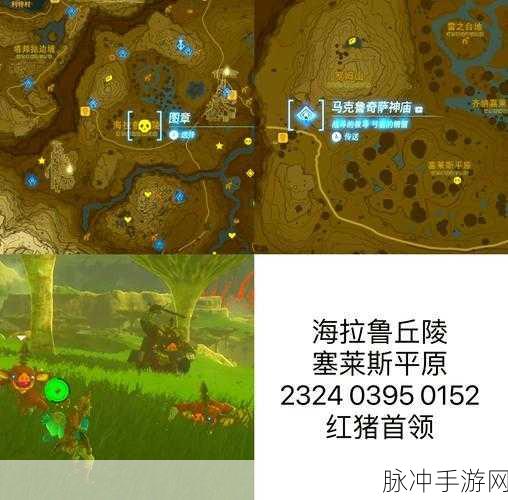 塞尔达传说王国之泪，风滚草大扫除全攻略秘籍