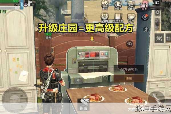 王者征途开服首日冲级秘籍大公开