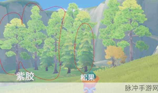 波西亚时光沸石获取全攻略