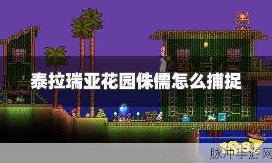 泰拉瑞亚，获取花园侏儒的全攻略